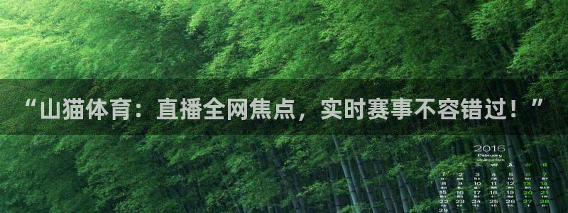 乐球直播亚冠联赛：“山猫体育：直播全网焦点，实时赛事不容错过！”