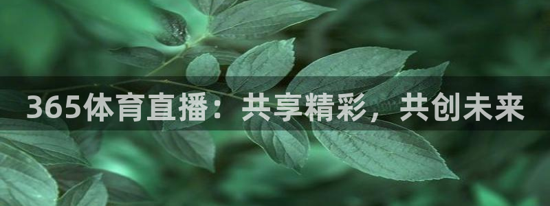 乐球直播全球赛事：365体育直播：共享精彩，共创未来