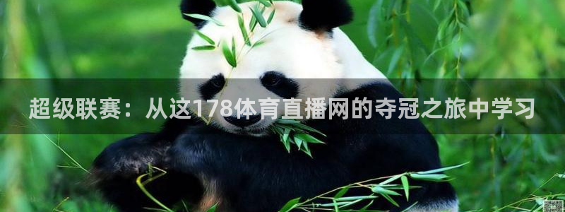 乐球直播无插件高清：超级联赛：从这178体育直播网的夺冠之旅中学习