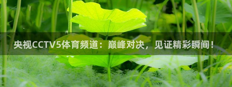 乐球直播在线直播观看