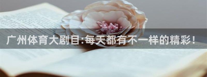 乐球直播无插件nba
