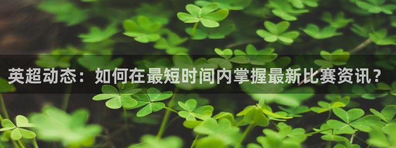 nba乐球直播免费观看直播在线：英超动态：如何在最短时间内掌握最新比赛资讯？