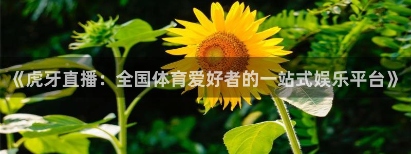 乐球直播leqiutv：《虎牙直播：全国体育爱好者的一站式娱乐平台》